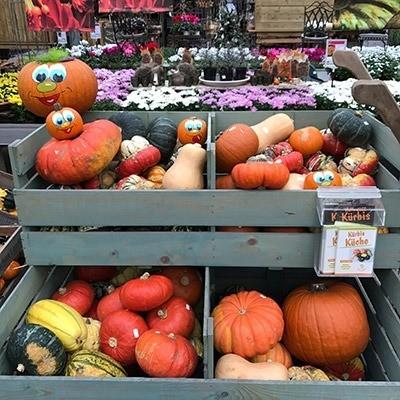 Herbst-Saison im Wächter Pflanzencenter